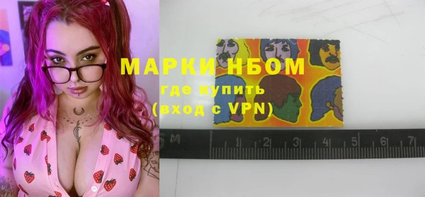 индика Алексин