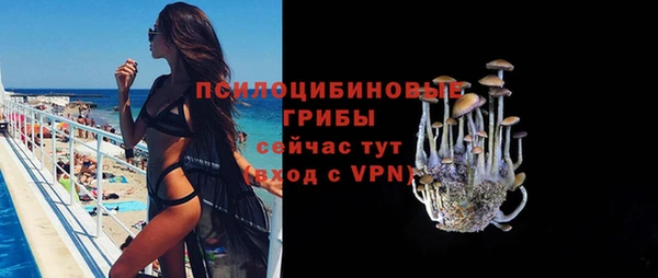 спиды Алексеевка