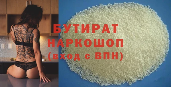 индика Алексин