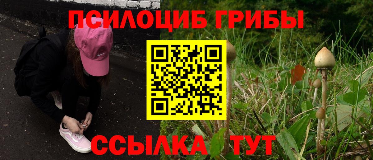 Галлюциногенные грибы мицелий  Псилоцибиновые грибы мицелий  продажа наркотиков  Вход с VPN  Кыштым 