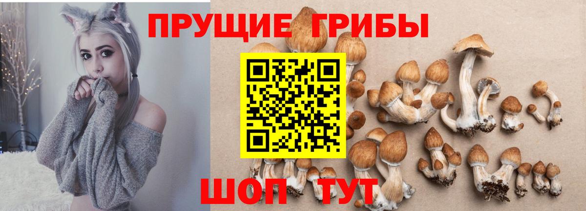 Галлюциногенные грибы MAGIC MUSHROOMS Кыштым