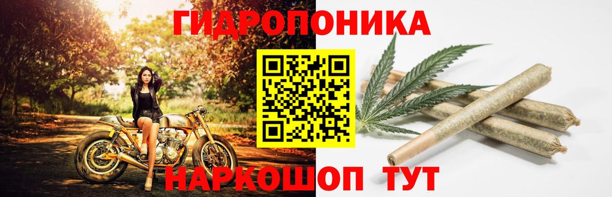 Шишки марихуана гибрид  Конопля THC 21%  Вход с VPN  Кыштым 
